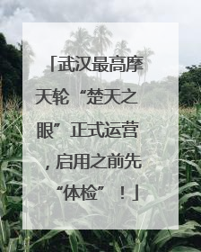 武汉最高摩天轮“楚天之眼”正式运营，启用之前先“体检”！