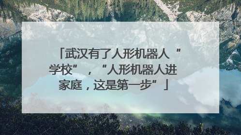武汉有了人形机器人“学校”，“人形机器人进家庭，这是第一步”