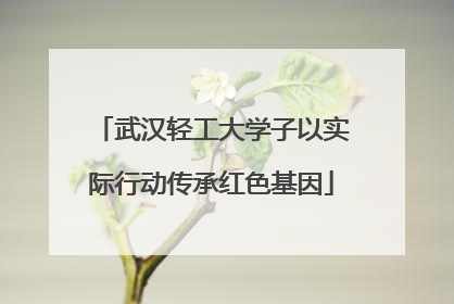 武汉轻工大学子以实际行动传承红色基因
