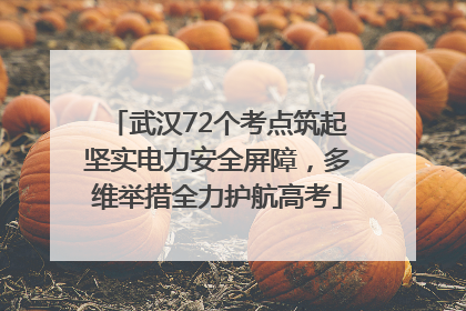 武汉72个考点筑起坚实电力安全屏障，多维举措全力护航高考