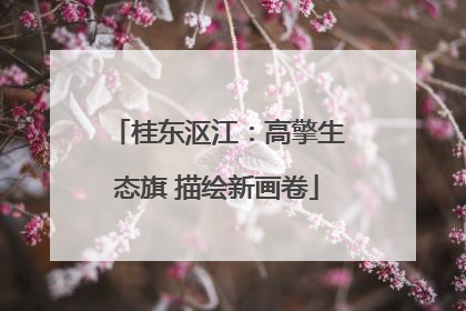 桂东沤江：高擎生态旗 描绘新画卷