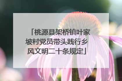 桃源县架桥镇叶家坡村党员带头践行乡风文明二十条规定