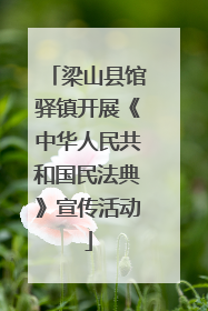 梁山县馆驿镇开展《中华人民共和国民法典》宣传活动
