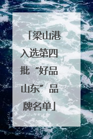 梁山港入选第四批“好品山东”品牌名单