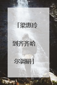 梁惠玲到齐齐哈尔调研