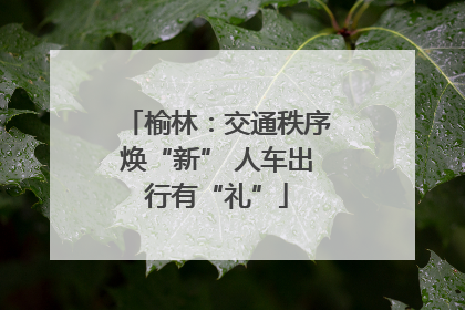 榆林：交通秩序焕“新” 人车出行有“礼”