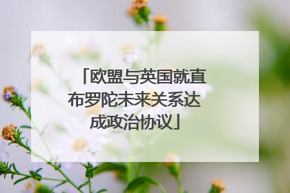 欧盟与英国就直布罗陀未来关系达成政治协议