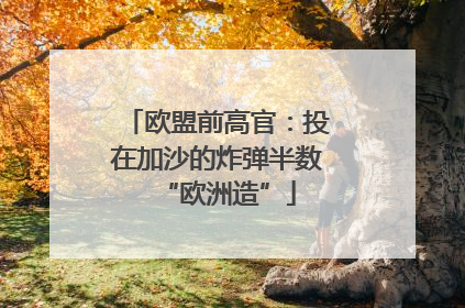 欧盟前高官：投在加沙的炸弹半数“欧洲造”