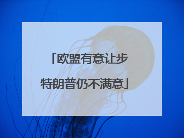 欧盟有意让步 特朗普仍不满意