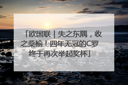 欧国联｜失之东隅，收之桑榆！四年无冠的C罗终于再次举起奖杯