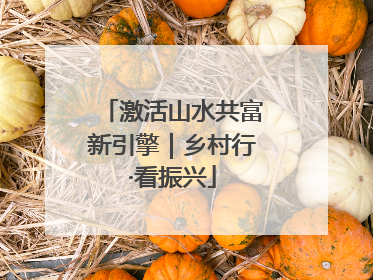 激活山水共富新引擎｜乡村行·看振兴