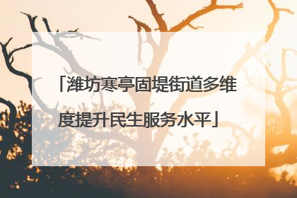 潍坊寒亭固堤街道多维度提升民生服务水平