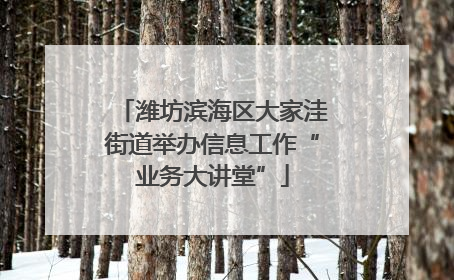 潍坊滨海区大家洼街道举办信息工作“业务大讲堂”