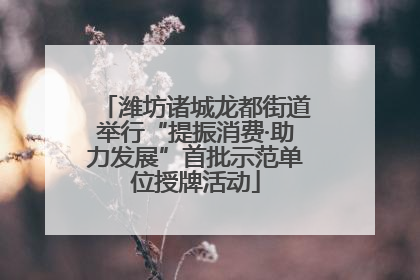 潍坊诸城龙都街道举行“提振消费·助力发展”首批示范单位授牌活动