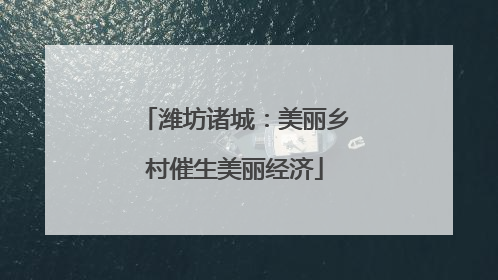 潍坊诸城：美丽乡村催生美丽经济