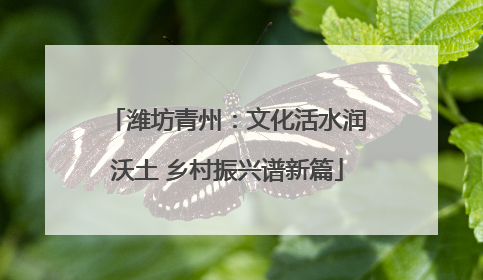潍坊青州：文化活水润沃土 乡村振兴谱新篇