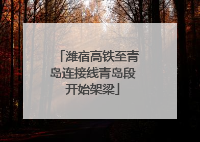潍宿高铁至青岛连接线青岛段开始架梁