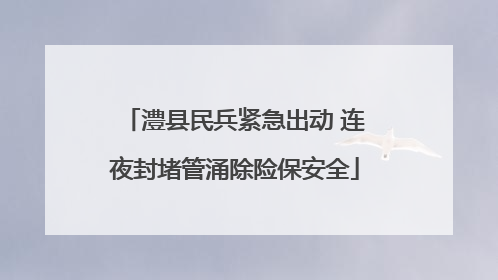 澧县民兵紧急出动 连夜封堵管涌除险保安全