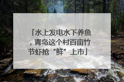 水上发电水下养鱼，青岛这个村百亩竹节虾抢“鲜”上市