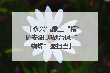 永兴气象三“精”护安澜 迎战台风“蝴蝶”显担当