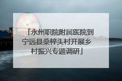 永州职院附属医院到宁远县桑梓头村开展乡村振兴专题调研