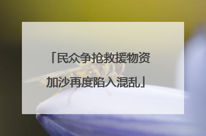 民众争抢救援物资 加沙再度陷入混乱