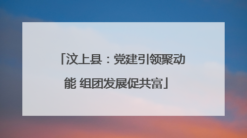 汶上县：党建引领聚动能 组团发展促共富