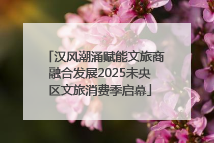 汉风潮涌赋能文旅商融合发展2025未央区文旅消费季启幕