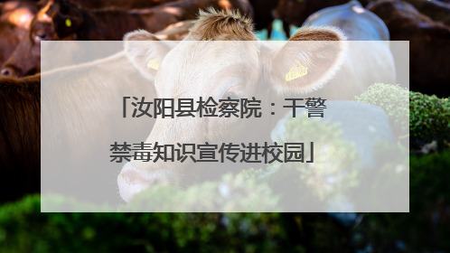 汝阳县检察院：干警禁毒知识宣传进校园