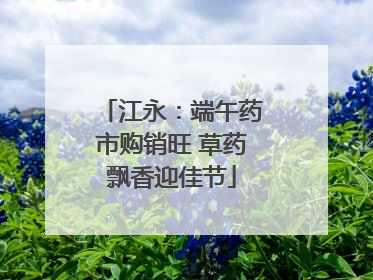 江永：端午药市购销旺 草药飘香迎佳节