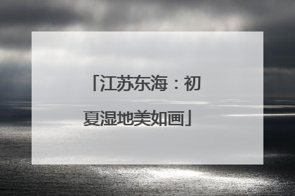 江苏东海：初夏湿地美如画