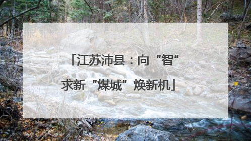 江苏沛县：向“智”求新“煤城”焕新机
