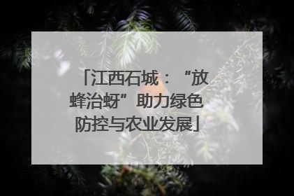 江西石城：“放蜂治蚜”助力绿色防控与农业发展