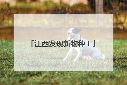 江西发现新物种！