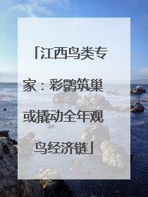 江西鸟类专家：彩鹮筑巢或撬动全年观鸟经济链