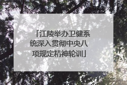 江陵举办卫健系统深入贯彻中央八项规定精神轮训