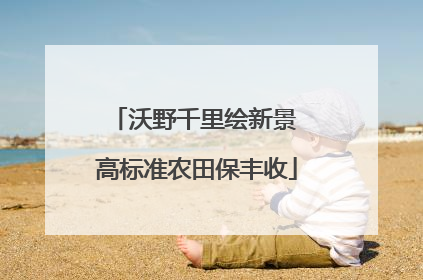 沃野千里绘新景 高标准农田保丰收