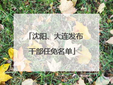 沈阳、大连发布干部任免名单