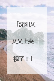 沈阳又又又上央视了！