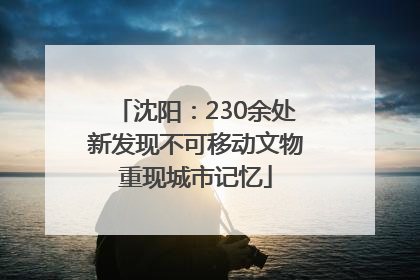 沈阳：230余处新发现不可移动文物重现城市记忆