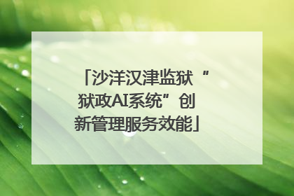 沙洋汉津监狱“狱政AI系统”创新管理服务效能