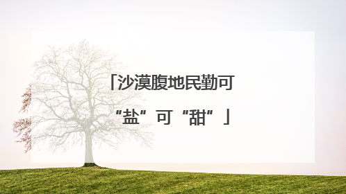 沙漠腹地民勤可“盐”可“甜”