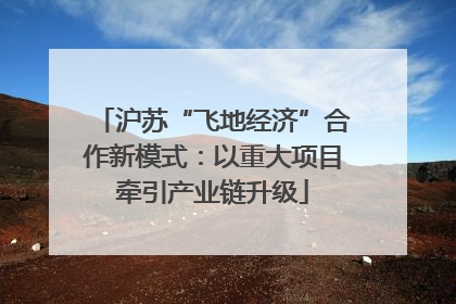 沪苏“飞地经济”合作新模式：以重大项目牵引产业链升级