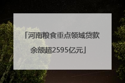 河南粮食重点领域贷款余额超2595亿元