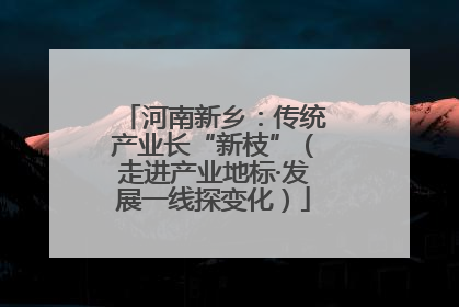 河南新乡：传统产业长“新枝”（走进产业地标·发展一线探变化）
