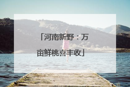 河南新野：万亩鲜桃喜丰收