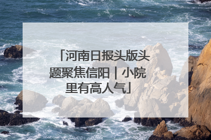 河南日报头版头题聚焦信阳｜小院里有高人气