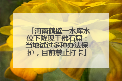 河南鹤壁一水库水位下降现千佛石窟：当地试过多种办法保护，目前禁止打卡
