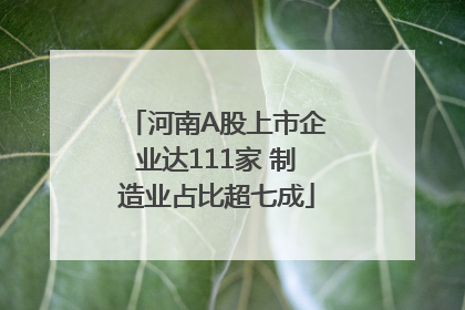 河南A股上市企业达111家 制造业占比超七成
