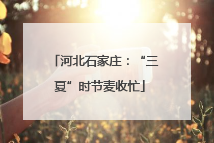 河北石家庄：“三夏”时节麦收忙